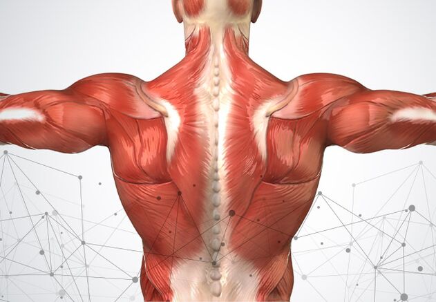 ból mięśni wzdłuż kręgosłupa